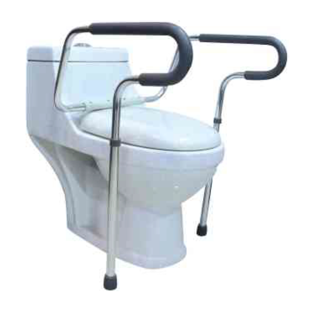 Toilet Safety Rails