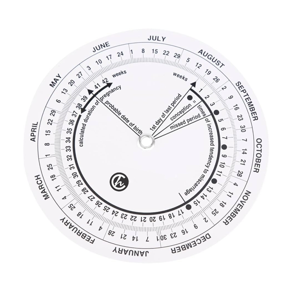 PVC Pregnancy Wheel – Single
