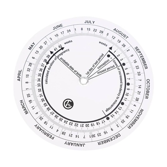 PVC Pregnancy Wheel – Single